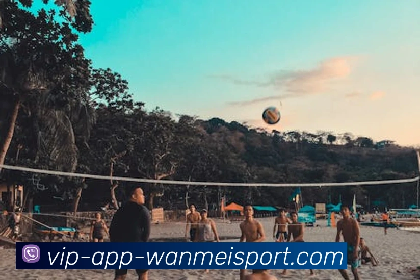 完美体育appAPP 封面图